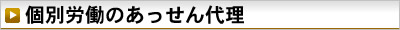 個別労働のあっせん代理