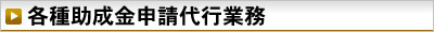 各種助成金申請代行業務